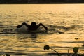 Silhouette Swimmer Royalty Free Stock Photo