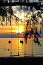 Silhouette of the swings, on tropical beach Royalty Free Stock Photo