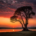 Silhouette of a tree by a lake at sunset Royalty Free Stock Photo