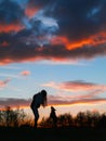 Silhouette of a teenager girl with her small yorkshire terrier in a field against beautiful sunset sky. Girl has a toy in her hand