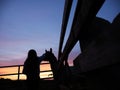 Silhouette of a teenager girl with long hair standing by a gate to a field with horses at sunset. Beautiful colorful sky in the Royalty Free Stock Photo