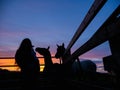 Silhouette of a teenager girl with long hair standing by a gate to a field with horses at sunset. Beautiful colorful sky in the Royalty Free Stock Photo