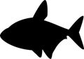 Silhouette of tetra fish