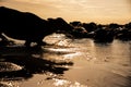 The silhouette of the thai buffalo with sunlight background.