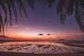 Silhouette Thailand sunset beach: palm tree leaves and small isle at dark ocean bay water in Asia Royalty Free Stock Photo