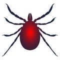 Silhouette of tick parasite.