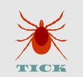 Silhouette of Tick parasite. Sketch of Mite. Isolated on white background.