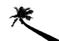 Silhouette of tilted coconut tree, natural palm vector