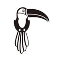 Silhouette of toucan with beak and feathers