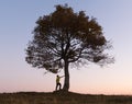 Silhouette of tourist under majestic tree