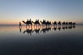 Silhouette of tourists on camel ride Cable Beach Broome Kimberley Western Australia