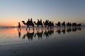 Silhouette of tourists on camel ride Cable Beach Broome Kimberley Western Australia Royalty Free Stock Photo