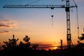 Silhouette tower construction crane on sunset background, copy