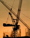 Silhouette of the tower crane