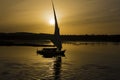 Silhouette of traditional felluca sailing boat on Nile Rive in Aswan Royalty Free Stock Photo