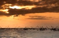 Silhouette of traditional fishing method using a bamboo square dip net with sunrise sky background