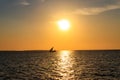 Silhouette of traditional wooden dhow boat in the Indian ocean at sunset in Zanzibar, Tanzania Royalty Free Stock Photo