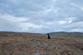 Silhouette of traveler man walking on the mountain. A mysterious cloaked man. Medieval man in hooded cloak.