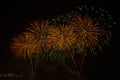 The silhouette of traveller watching fireworks and celebrating Royalty Free Stock Photo