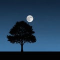 Silhouette of a tree against a clear night sky. The full moon is prominently visible in the upper Royalty Free Stock Photo