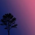 Silhouette of a tree against a gradient sky transitioning from deep blue to pink