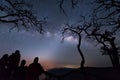 Silhouette tree against the milky way in a dark sky Royalty Free Stock Photo
