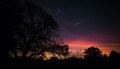 Silhouette of tree against Milky Way, a glowing mystery generated by AI