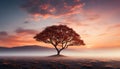 Silhouette of tree against orange sky, nature tranquil beauty generated by AI Royalty Free Stock Photo