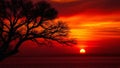 Silhouette of a tree against a vibrant sunset over calm waters Royalty Free Stock Photo