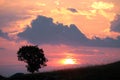 Silhouette tree agaist colorful sky with clouds at the sunset Royalty Free Stock Photo