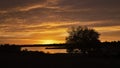 Silhouette Tree as the sunrise or sunset reflects in the lake