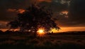 Silhouette tree back lit by dramatic sunset sky, idyllic nature generated by AI Royalty Free Stock Photo