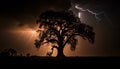 Silhouette of tree back lit by spooky electric dusk sky generated by AI Royalty Free Stock Photo