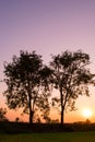 Silhouette of tree with beautiful sunset over the rice fields in the evening holiday in the countryside of Thailand. Royalty Free Stock Photo