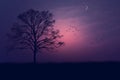 silhouette of a tree with birds flying over it at night Royalty Free Stock Photo