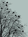 Silhouette tree black birds