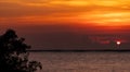 Silhouette tree on blur background of red and orange sunset sky over the tropical sea. Red sunset sky. Skyline at the sea. Royalty Free Stock Photo