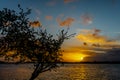 Silhouette of a tree branch background sunset and beautiful river water reflection Royalty Free Stock Photo