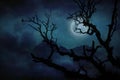 Silhouette of tree branches in forest and blue full moon at midnight, concept of scary and horror Royalty Free Stock Photo