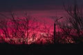 Silhouette of tree branches silhouette against sunset background of orange and pink sky. Beautiful view of the sky Royalty Free Stock Photo