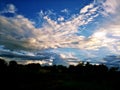 Silhouette of tree on bright blue sky and cotton clouds with sun lights on afternoon summer Royalty Free Stock Photo