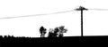 Silhouette of tree, bush with bare branches with electricity transformer. Royalty Free Stock Photo
