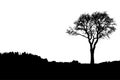 Silhouette of tree, bush with bare branches. Royalty Free Stock Photo