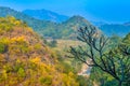 Silhouette tree capture from top of a hill