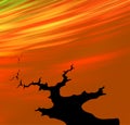 silhouette tree on colourful background with a flowing sky Royalty Free Stock Photo