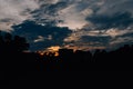 Silhouette tree in the evening at golden hour Royalty Free Stock Photo