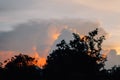 Silhouette tree in the evening at golden hour Royalty Free Stock Photo