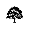 Silhouette of a tree, featuring a broad canopy with dense foliage. The trunk is narrow, extending Royalty Free Stock Photo