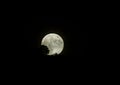 Silhouette of tree with full moon on background