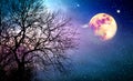 Silhouette of tree and full moon on colorful night sky. Royalty Free Stock Photo